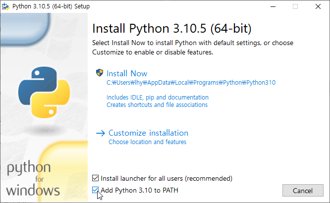 python-windows1